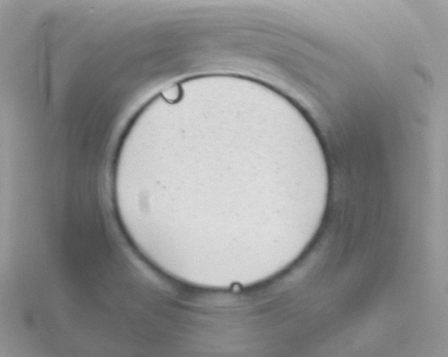 X0000115051517200911231142