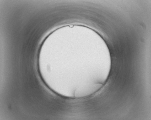 X0000115051518200911231142