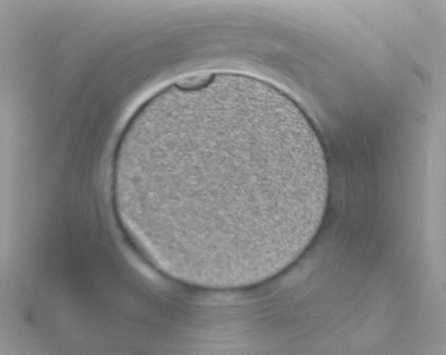 X0000115051519200911231142