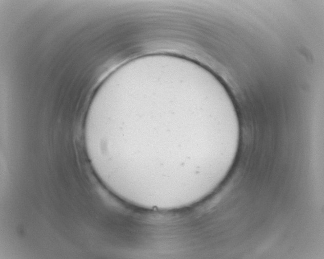 X0000115051521200911231142