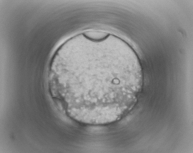 X0000115051522200911231142