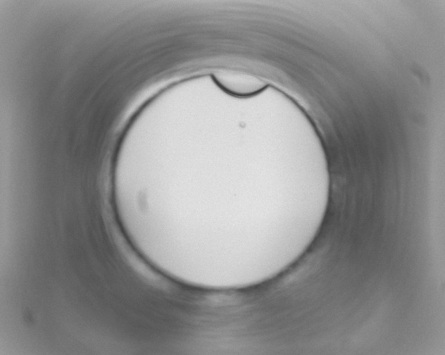 X0000115051523200911231142