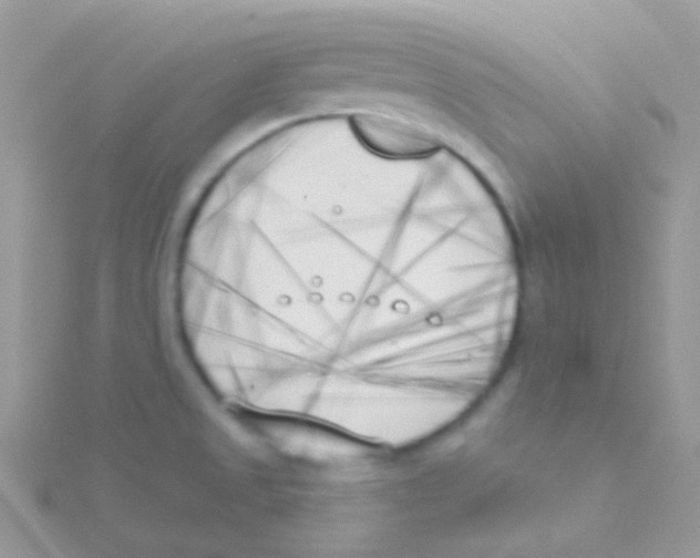 X0000115051525200911231142