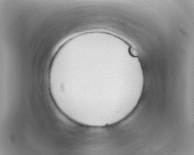 X0000115051526200911231142