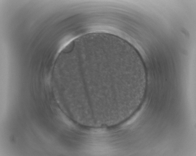 X0000115051529200911231142