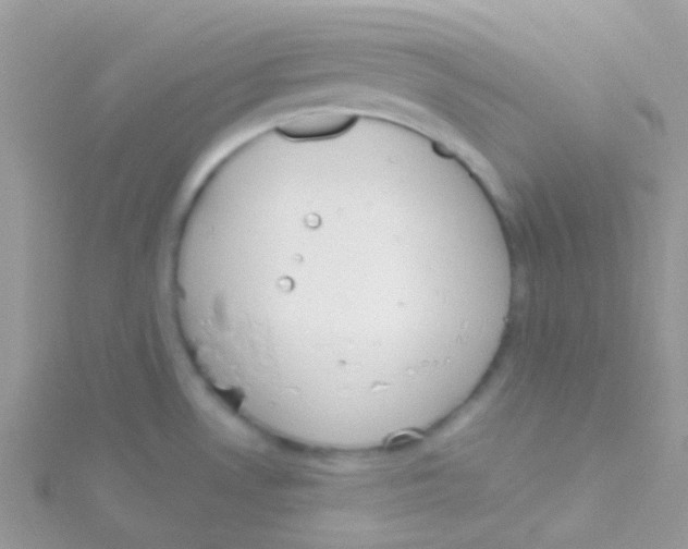 X0000115051530200911231142