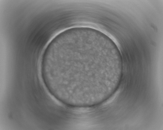 X0000115051533200911231143