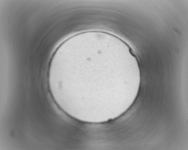 X0000115051534200911231143