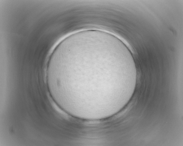 X0000115051535200911231143