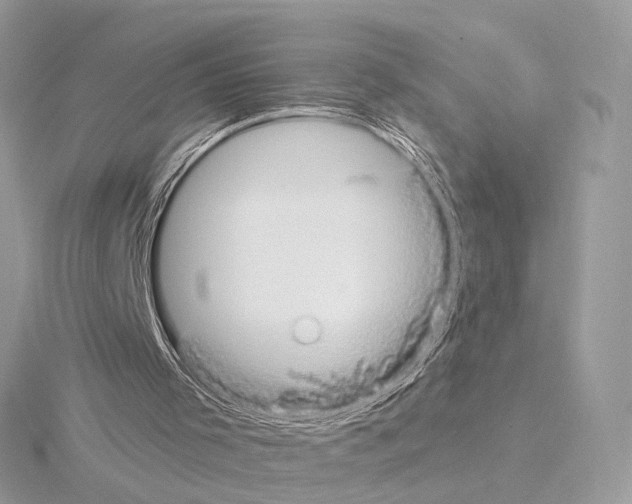 X0000115050001200912071140