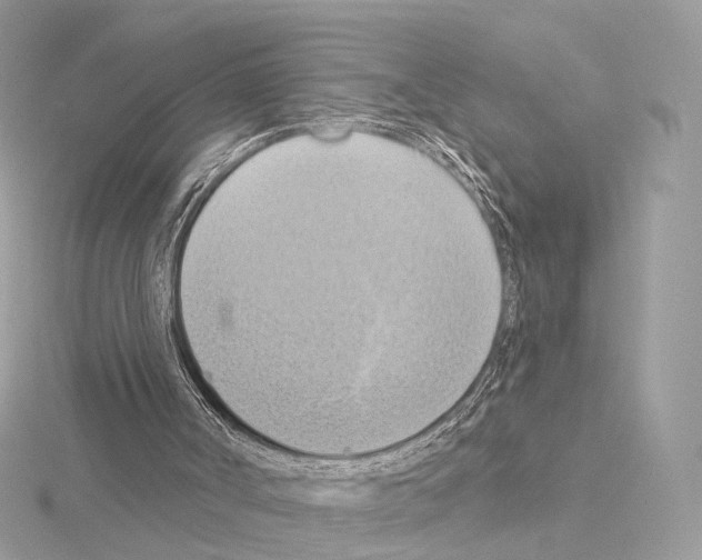 X0000115050002200912071140