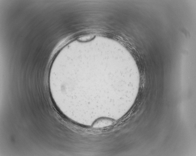 X0000115050004200912071140