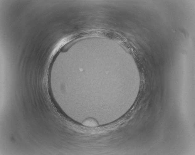 X0000115050006200912071140