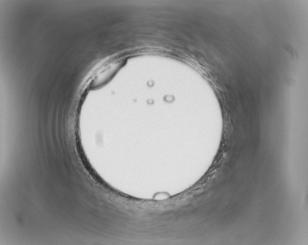 X0000115050007200912071140