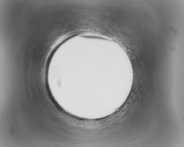 X0000115050008200912071140