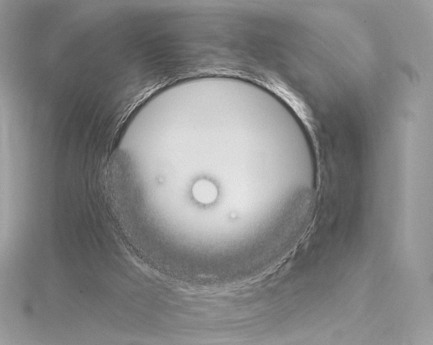 X0000115050009200912071140