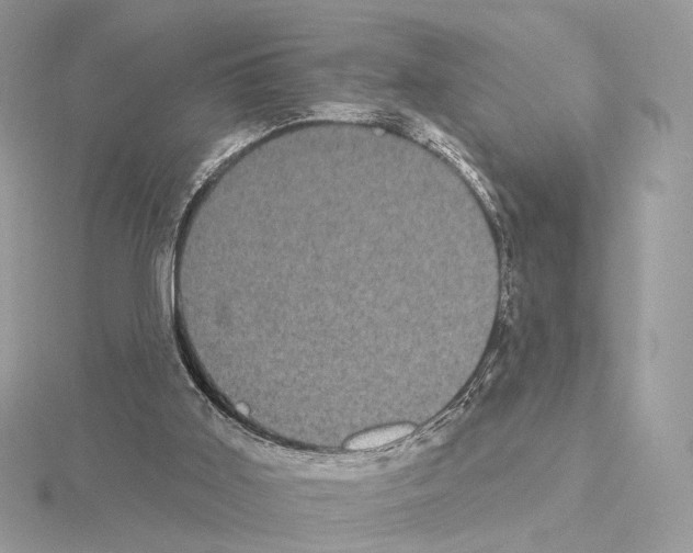 X0000115050011200912071140