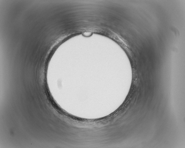 X0000115050012200912071140