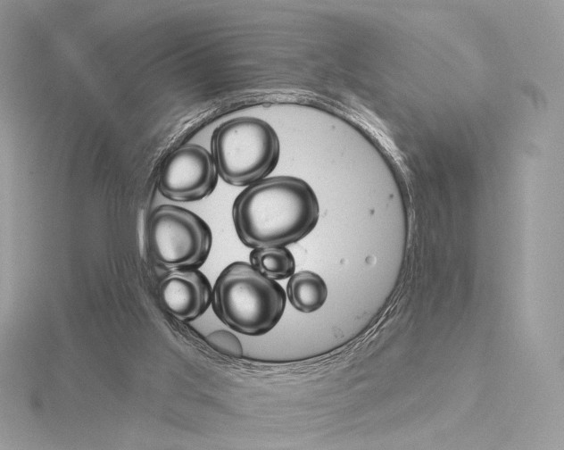 X0000115050013200912071140