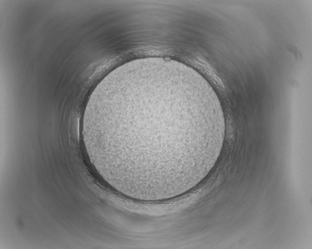 X0000115050014200912071140