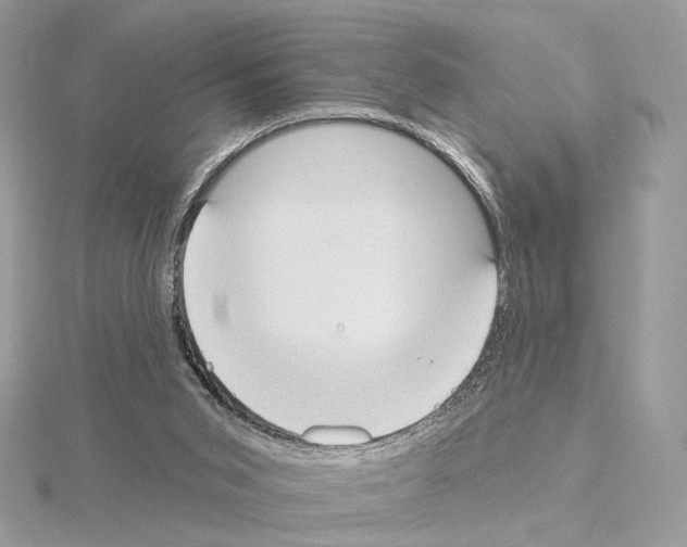 X0000115050015200912071140