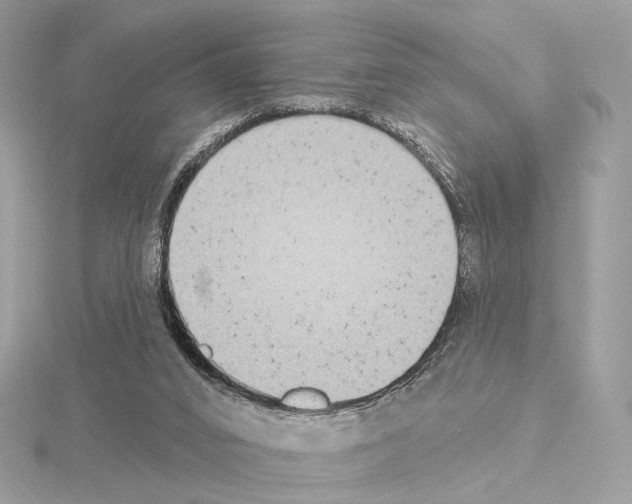 X0000115050016200912071140