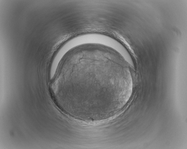 X0000115050019200912071140