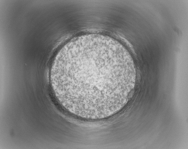 X0000115050020200912071140