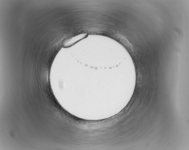 X0000115050021200912071140