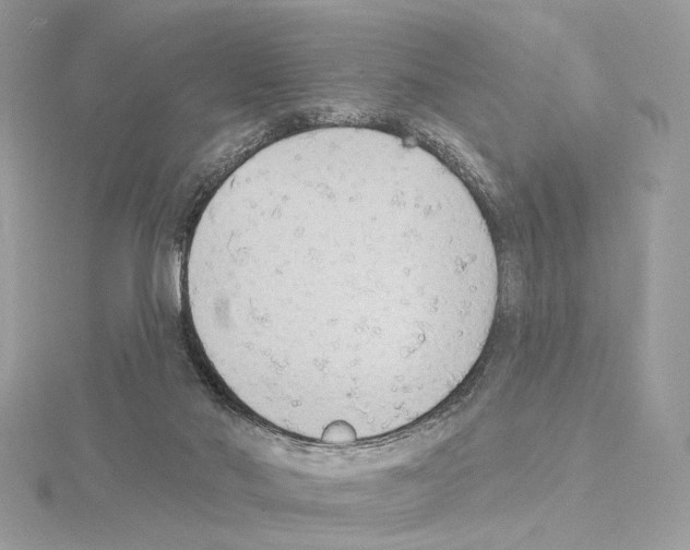 X0000115050022200912071140