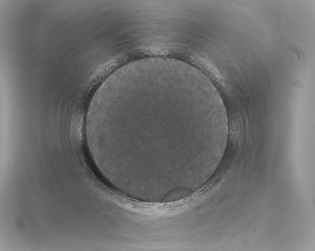 X0000115050023200912071140