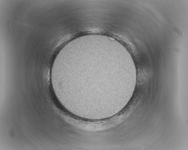 X0000115050024200912071140