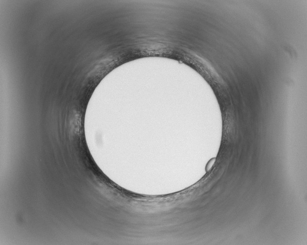 X0000115050025200912071140