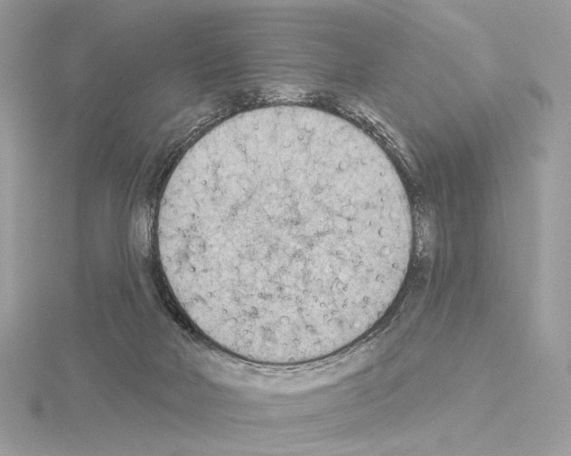 X0000115050026200912071140