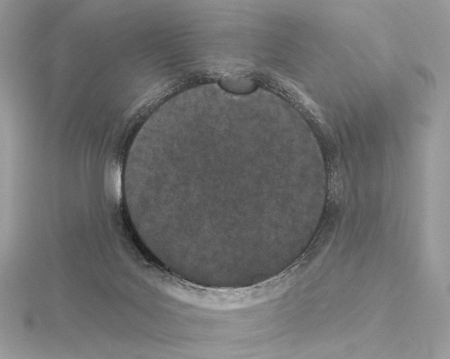 X0000115050027200912071140