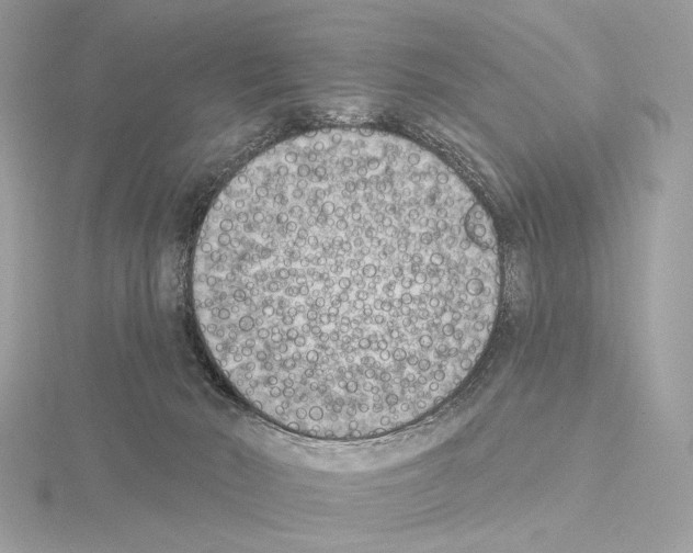 X0000115050030200912071140