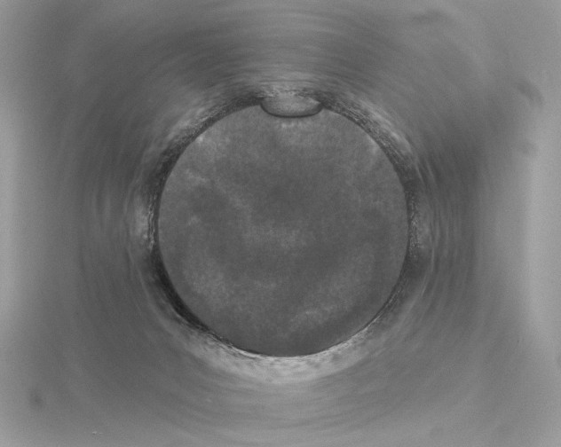 X0000115050031200912071140