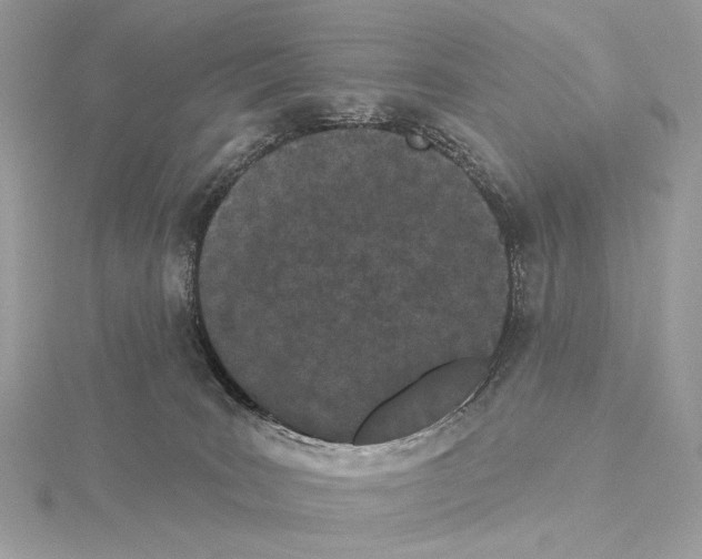 X0000115050035200912071140