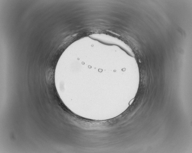 X0000115050036200912071140