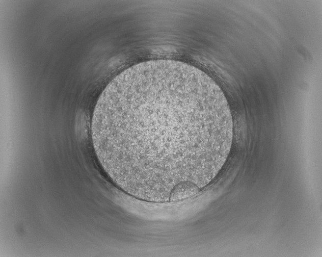 X0000115050038200912071140