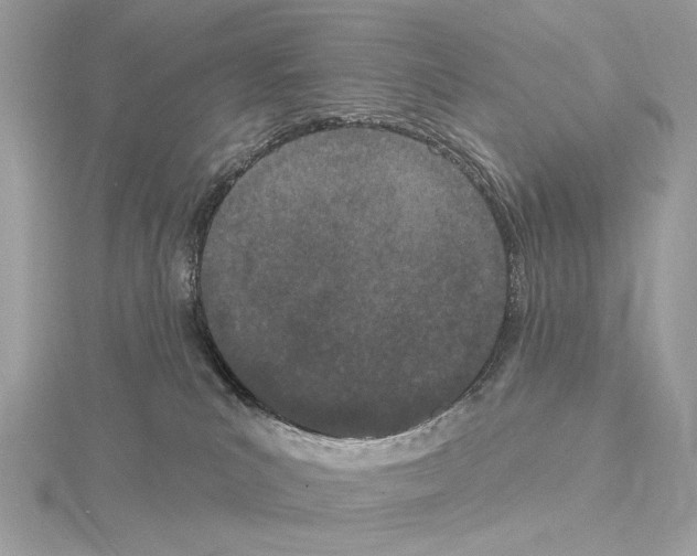 X0000115050039200912071140