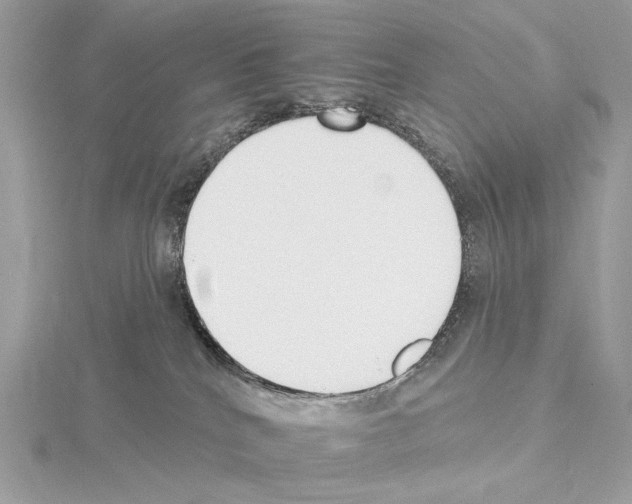 X0000115050040200912071140