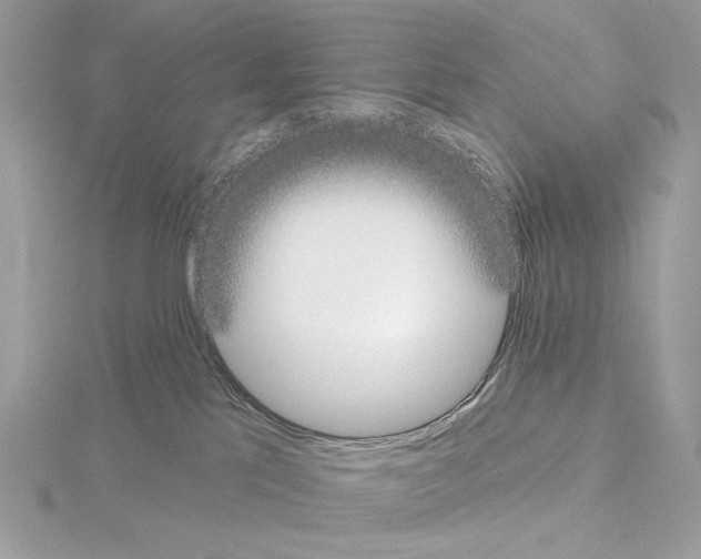 X0000115050041200912071140