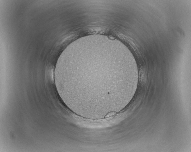 X0000115050042200912071140