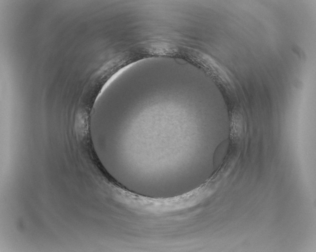 X0000115050043200912071140