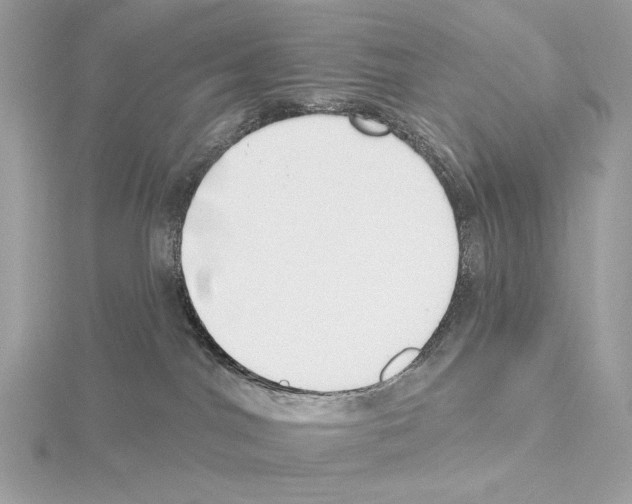 X0000115050044200912071140