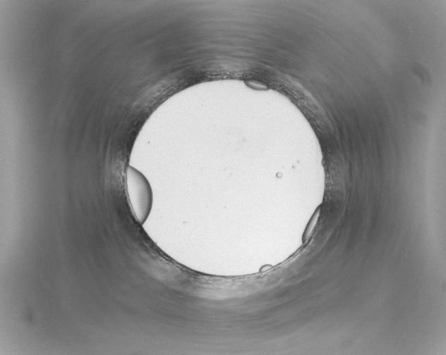 X0000115050045200912071140