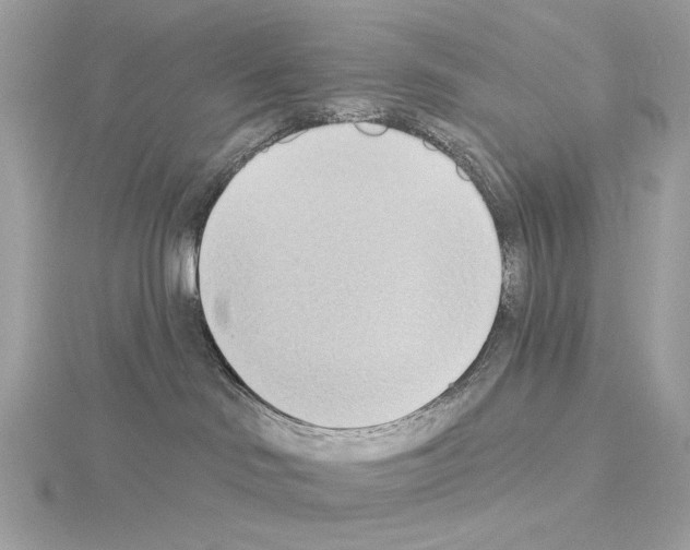 X0000115050046200912071140