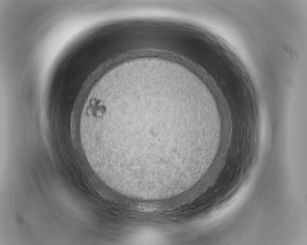 X0000115050050200912071139