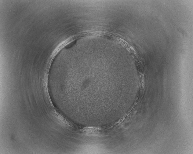 X0000115050051200912071139